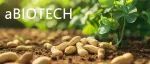 aBIOTECH | 孔照胜团队鉴定到一个花生特异的调控结瘤基因AhPUGN1.1