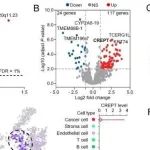 Mol Cancer丨清华大学常智杰等团队提出一种治疗转移性TNBC的有前景的策略