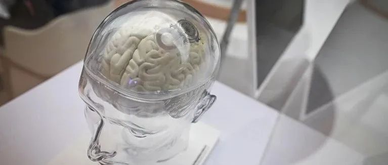 中国加大脑芯片投入，为瘫痪患者改善身体控制