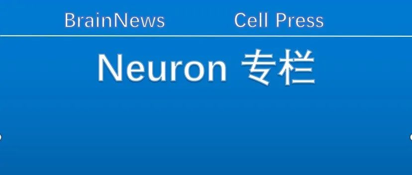 Neuron：复旦大学胡荣峰团队发表小鼠救助样(Rescue-like)行为神经机制的特邀评论