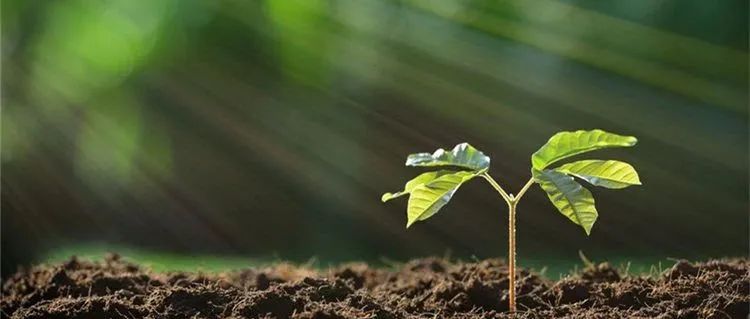 震撼！仅半年，Nature Communications从中国挣了1.3亿版面费，有单位发一篇奖励50万？