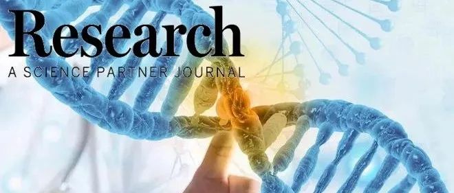 Research|北京协和医院张抒扬课题组通过冷冻电镜解析异戊酰辅酶A脱氢酶及复合物结构