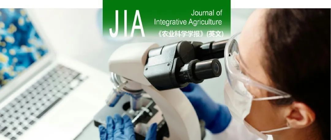 JIA | 山西农业大学朱兴全教授团队关于弓形虫三个主要基因型虫株mRNA m&#8310;A甲基化修饰差异的研究