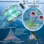 东北大学徐大可教授《Advanced Materials》将电活性材料设计与微生物能源技术深度融合，实现微生物制氢新突破