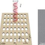 研究前沿：光子晶体-强关联量子材料/光子芯片 | Nature Photonics