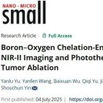 Small丨杭州师范大学尹守春等团队将荧光成像与光热疗法结合起来实现单剂量高效消融肿瘤