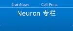 Neuron：张勇课题组揭示内源性AMPA受体在感觉学习中的关键作用