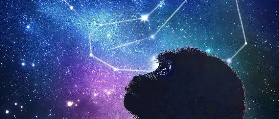 Cell/Neuron等10篇：中国科学家联合发布介观脑图谱系列成果 实现从啮齿类到灵长类大脑的跨越