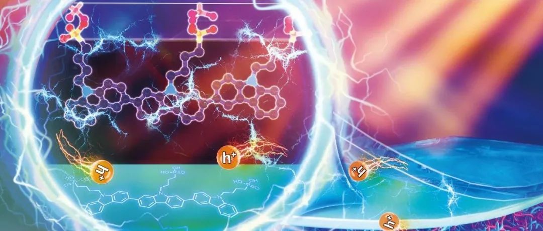 Sci. China Chem. 2025年第7期目录