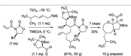 Practical Synthesis of Oxepanoprolines