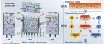 大连理工大学周集体团队EST｜基于石英砂介导离子定向电迁移的制备型垂直流电泳技术实现高盐废水资源化