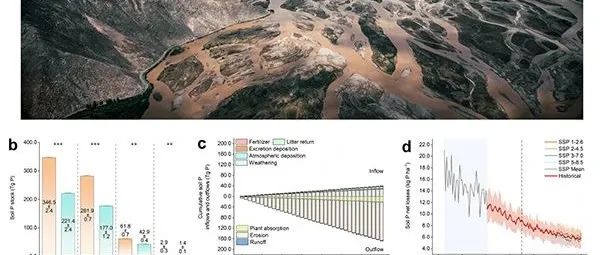 成都山地所《Nature Communications》最新成果！