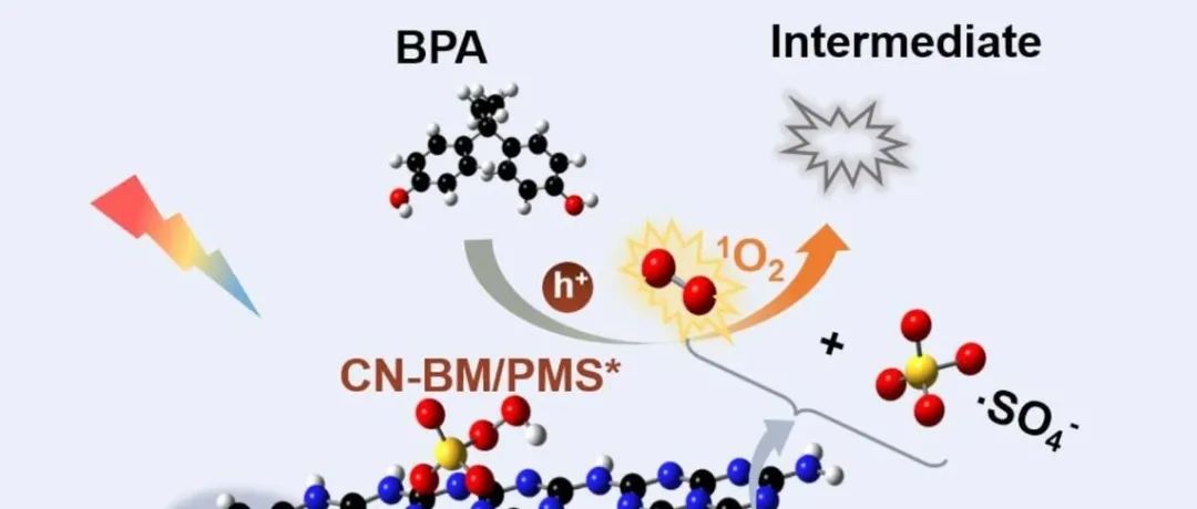文献速递|南京信息工程大学SPT:分子工程调控碳氮化物的电子结构，促进非自由基主导的PMS活化，实现高效有机污染物降解