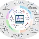 【Acc. Chem. Res.】厦门大学黄培强教授课题组：酰胺的直接还原官能化——从方法学到全合成应用