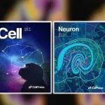 Cell专题！华大参与发布介观脑图谱大科学协作成果