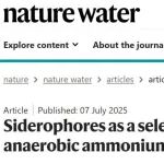 同济大学王亚宜课题组Nature Water：铁载体作为选择性调控因子促进厌氧氨氧化菌活性