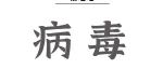 Annual Review of Virology｜邓涛/高福团队合作发表流感病毒基因组RNA转录向复制转换调控的综述论文