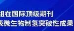 东北大学徐大可教授课题组在国际顶级期刊《Advanced Materials》上发表微生物制氢突破性成果
