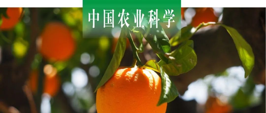 中国农业科学｜湖南农大易图永课题组测定聚六亚甲基胍对柑橘溃疡病菌的抑菌活性
