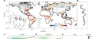 苏泳娴等在Nature Ecology & Evolution发文揭示景观格局通过生物物理效应调控森林恢复力的重要机制
