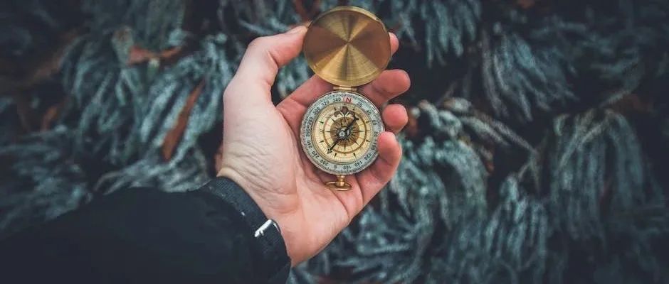 助理研究员经费被砍后只能去开网约车，这代青年学者将被特朗普政府彻底断送