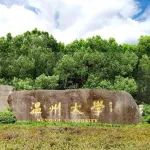 温州大学硕士生以第一作者身份在一区Top期刊（IF=14.3）上发表研究论文