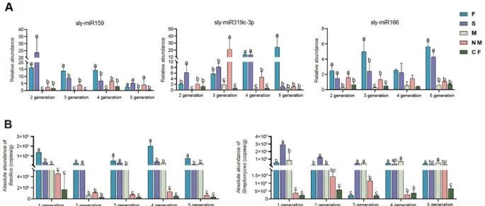 根际微生物丨MICROBIOME：通过微生物相互作用和激素途径调节防治小麦黄花叶病毒病