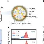ACS Nano：硫催化闪蒸焦耳加热实现氮化硼维度工程化量产