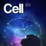 Cell系列专题 | 10篇！中国科学家发布介观脑图谱大科学协作成果