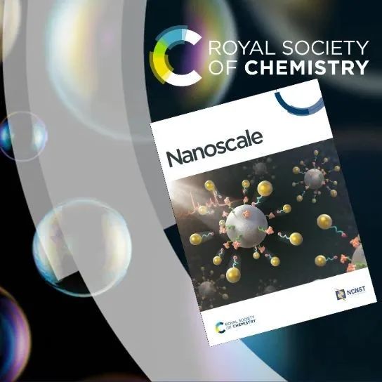 &#8203;2024 年度 Nanoscale 优秀审稿人