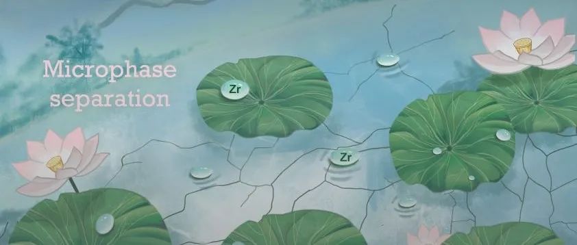 中南民大张道洪教授/姜宇教授团队 Macromolecules 封面论文：超支化结构调控微相分离构建高强韧水凝胶