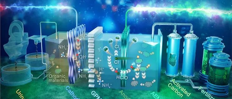 中国科学技术大学、广东工业大学ES&T：电化学回收尿液中氨过程中氯介导有机物与氨的转化