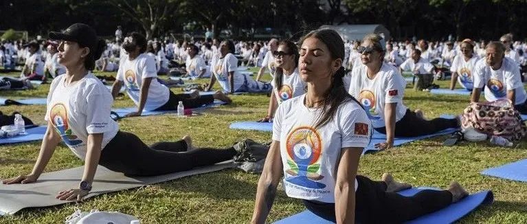 你了解自己独特的呼吸模式吗？98%的尼日利亚穿山甲死于人类口腹；利用星星导航的小飞蛾 | Nature Podcast