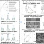成都大学李强团队JHM：一种具有同时生物降解聚苯乙烯微塑料和杀菌剂多菌灵能力的新型贝莱斯芽孢杆菌