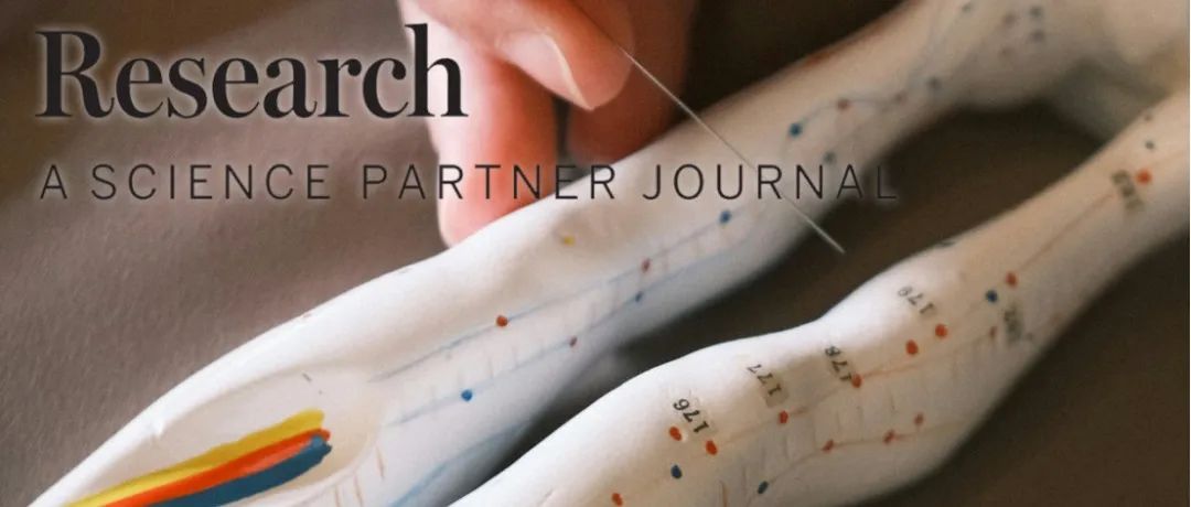 Research|单细胞多组学分析揭示针刺辅助美沙酮减量的临床效应机制—广州中医药大学陆丽明/中山大学唐海林团队新进展