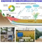 南京土壤所在区域农田土壤镉污染快速诊断与定量溯源研究中取得进展