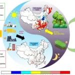 东北地理所在生物源挥发性有机物排放及其对空气质量影响研究取得系列进展