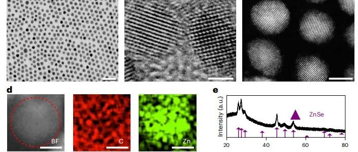 北京理工大学张加涛团队：量子点 | Nature Nanotechnology