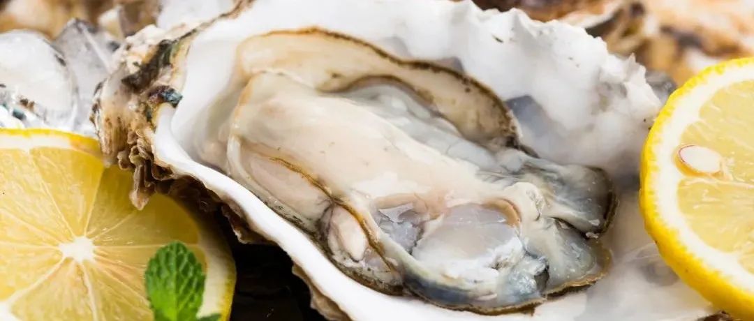 《食品科学》：广东海洋大学高加龙副教授、郑志鸿博士等：牡蛎蛋白肽对急性酒精性肝损伤的保护作用及活性肽筛选