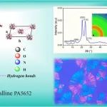 贵州大学刘玉飞特聘教授团队 Macromolecules：通过调控氢键网络合成α晶型低吸湿生物基聚酰胺5652