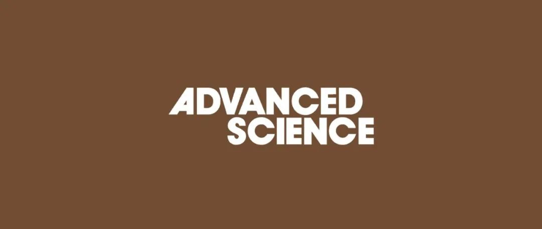 浙江大学姜银珠教授/张漩研究员团队Adv. Sci.：聚多巴胺螯合物改性隔膜助力锂金属电池实现高倍率性能与超长循环寿命