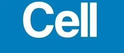 浙江大学教授以第一或通讯作者在CNS主刊发表论文20篇，最新《Cell》揭示，从单兵到军团，超级有机体如何用基因编织“微型帝国”