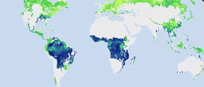 南京大学博士研究生以第一作者在《Nature Plants》发表最新成果!