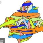 西工大《Materials Characterization》：高温钛合金α相变体选择机制全解析
