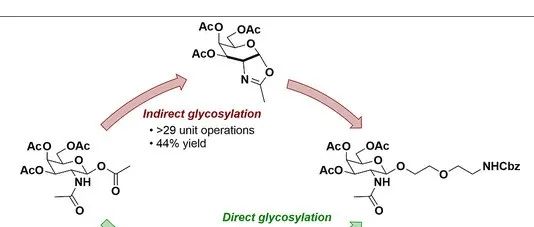 Kinetic Studies to Enable a Scalable Direct Glycosylation