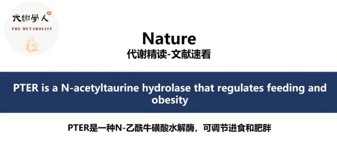【视频号】Nature：牛磺酸养生源，瘦身有成乐悠然（附文字版链接）