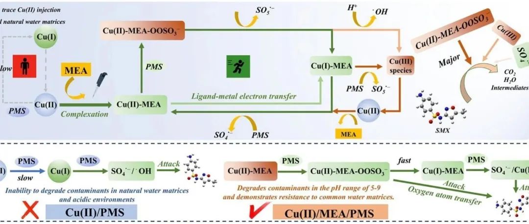 文献速递|广东工业大学CEJ:单乙醇胺调控的Cu(II)/PMS体系用于SMX降解：Cu(II)-OOSO3-亚稳态复合物的..