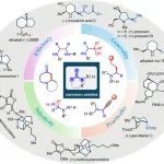黄培强教授课题组：酰胺的直接还原转化——从方法学到全合成应用