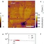 南京大学王欣然教授团队 Nat. Mater.：实现晶圆级二维半导体堆垛调控新进展