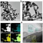 杨彬&王舒月联合张健Angewandte Chemie：配位不饱和CuAg复合物电催化乙炔自动加氢制备乙烯以及锌-乙炔电池